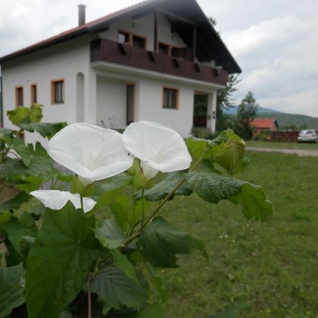 Guesthouse Matija Irinovac Extérieur photo