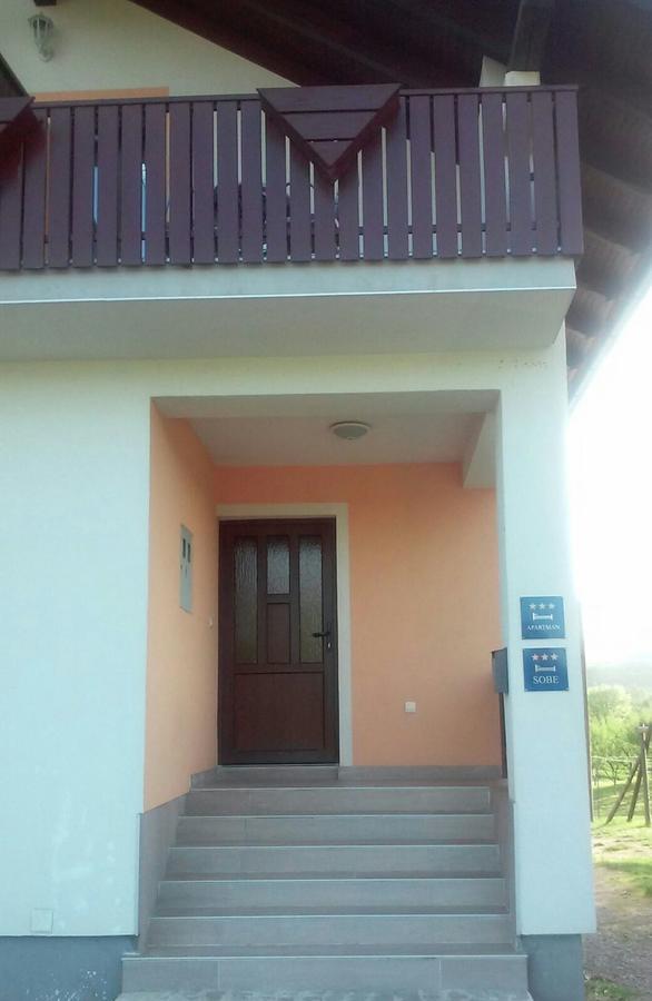 Guesthouse Matija Irinovac Extérieur photo