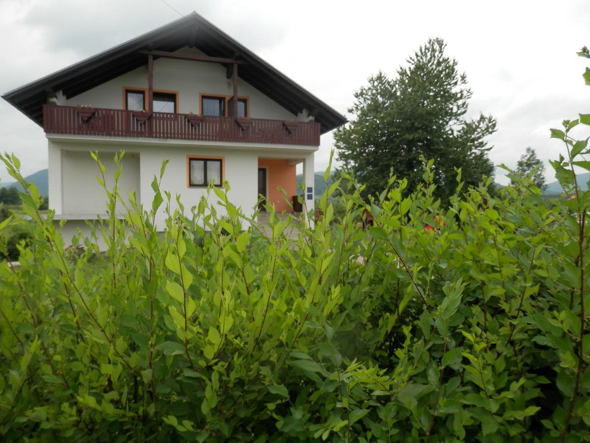 Guesthouse Matija Irinovac Extérieur photo