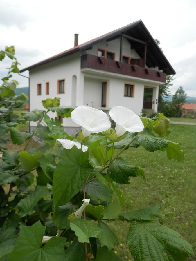 Guesthouse Matija Irinovac Extérieur photo
