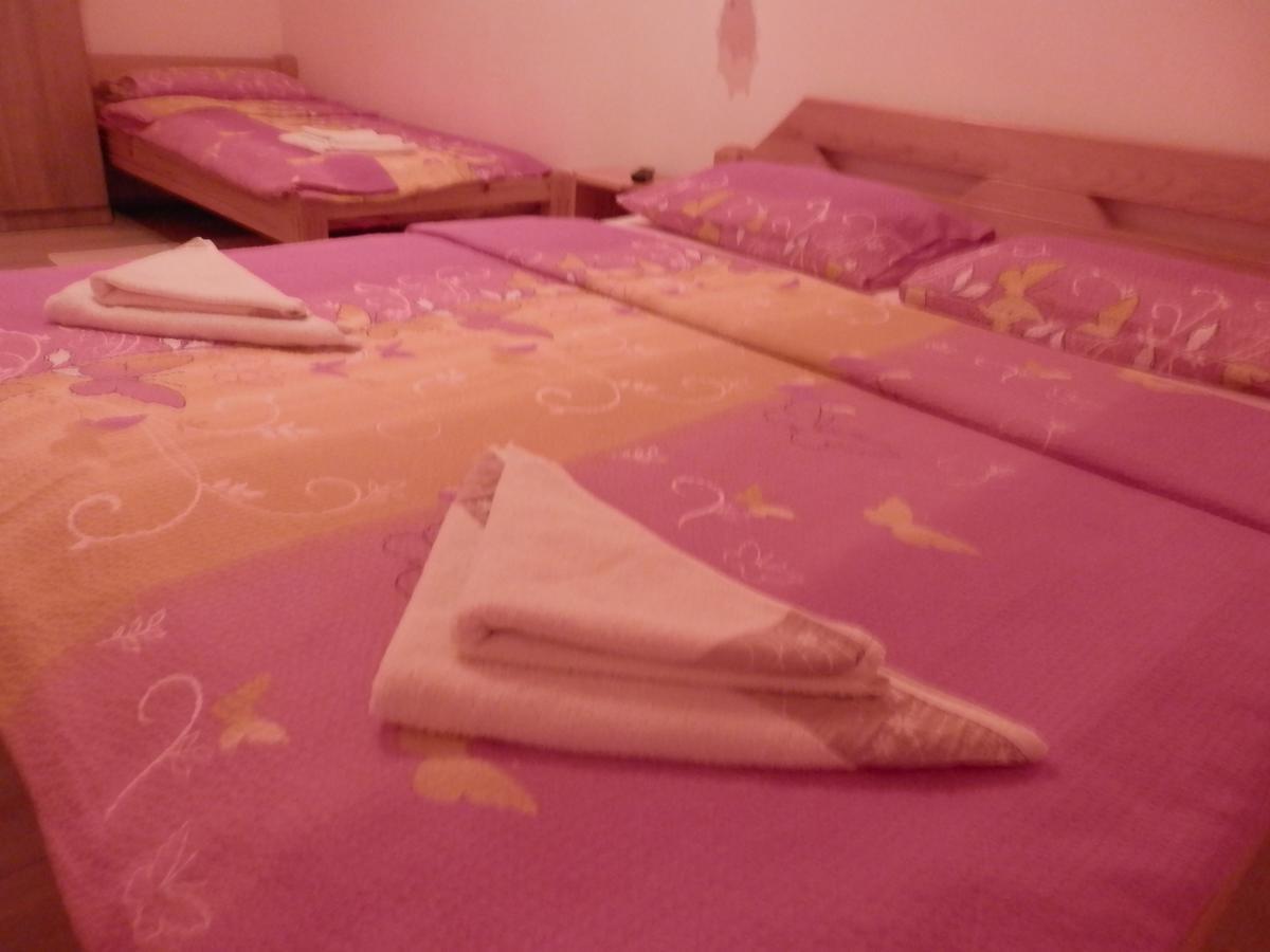 Guesthouse Matija Irinovac Extérieur photo