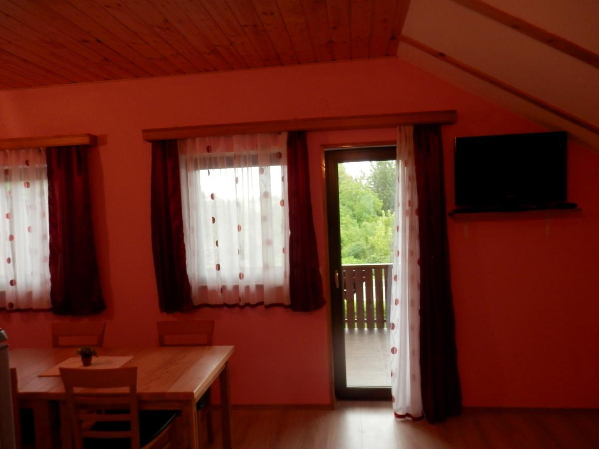 Guesthouse Matija Irinovac Extérieur photo