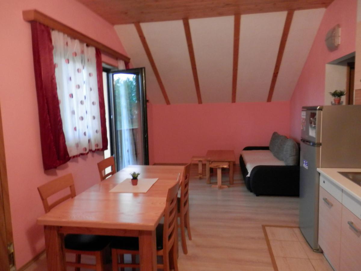 Guesthouse Matija Irinovac Extérieur photo