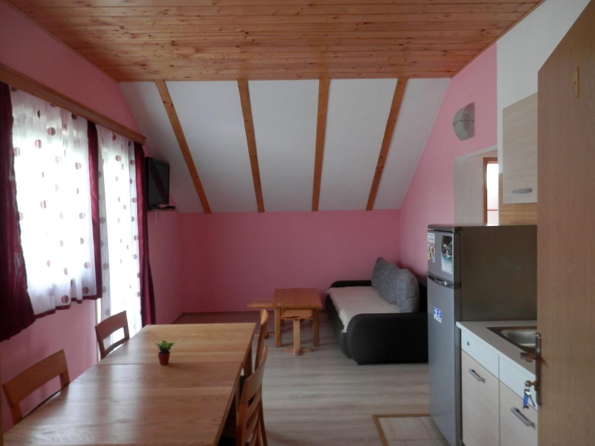 Guesthouse Matija Irinovac Extérieur photo